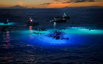 Snorkelers observe manta rays illuminated by boat lights at night in the ocean.