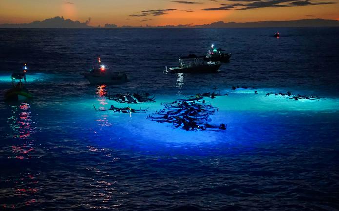 Snorkelers observe manta rays illuminated by boat lights at night in the ocean.
