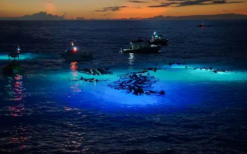 Snorkelers observe manta rays illuminated by boat lights at night in the ocean.