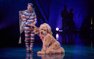 Performer in colorful costume with large dog on stage during Kooza Brisbane show.
