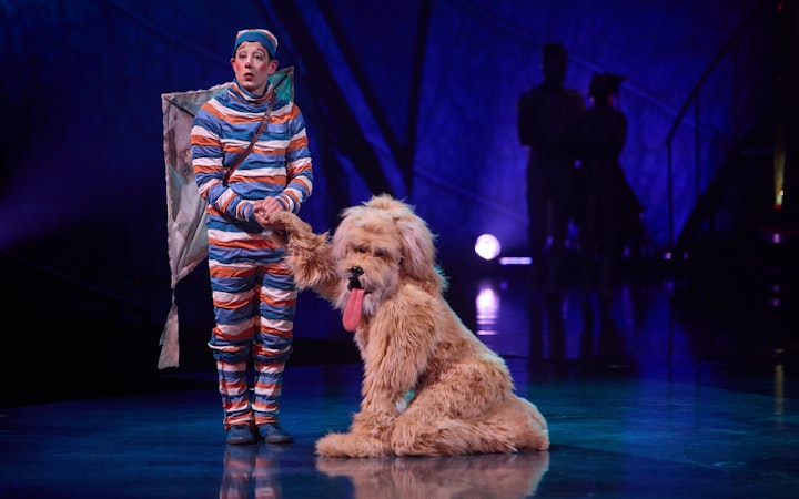 Performer in colorful costume with large dog on stage during Kooza Brisbane show.