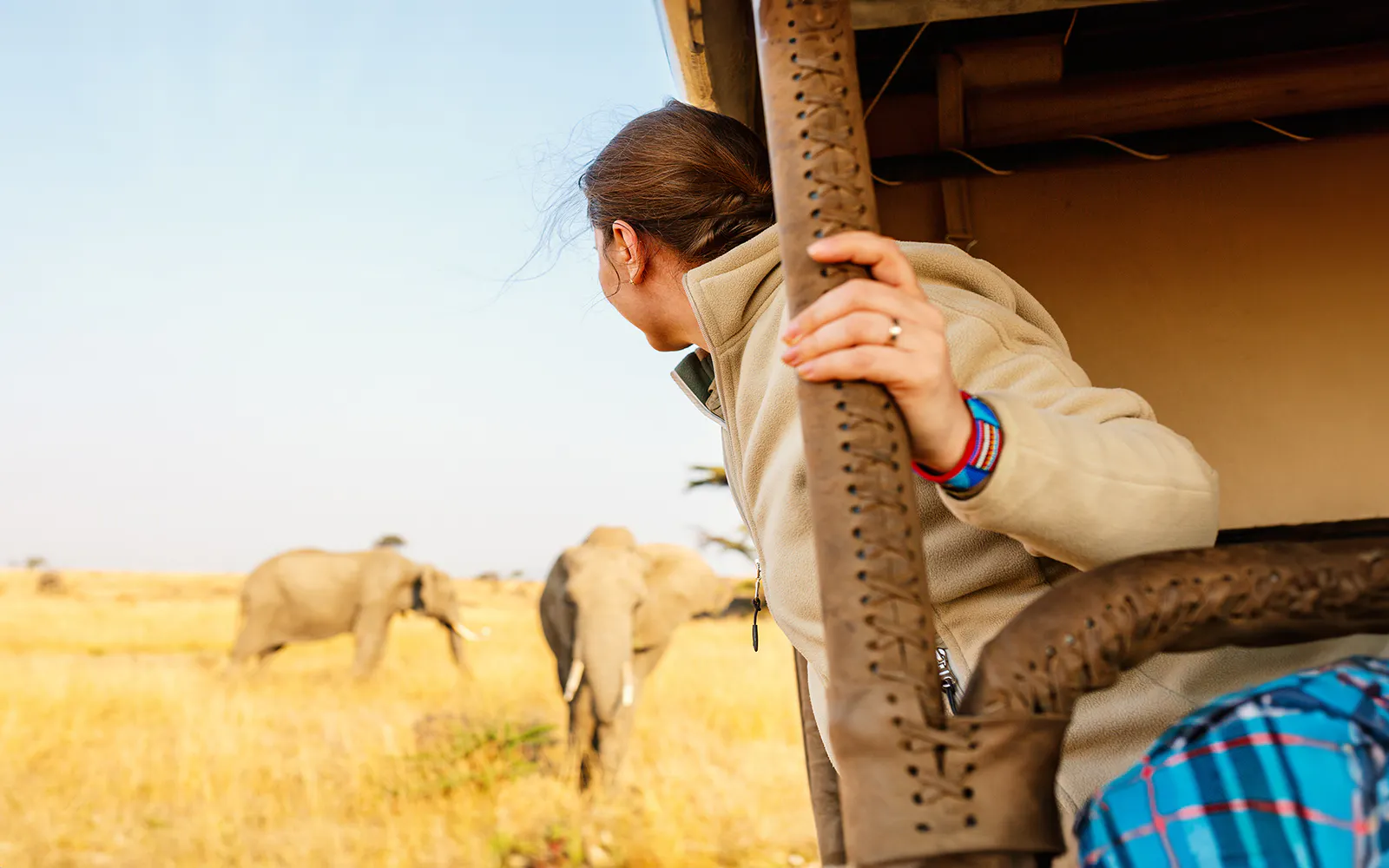 Safari tourist observing elephants in the savannah.