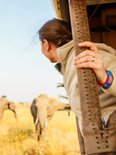 Safari tourist observing elephants in the savannah.