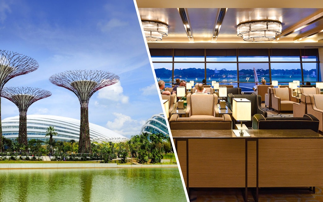 Plaza Premium Lounge interior with view of Singapore's Supertree Grove.