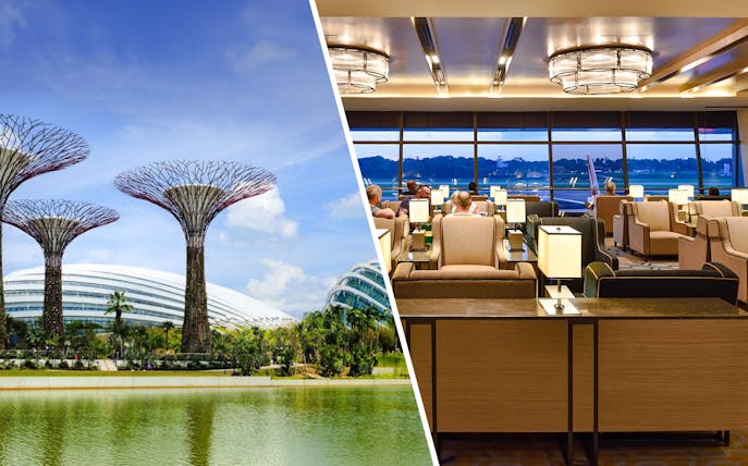 Plaza Premium Lounge interior with view of Singapore's Supertree Grove.