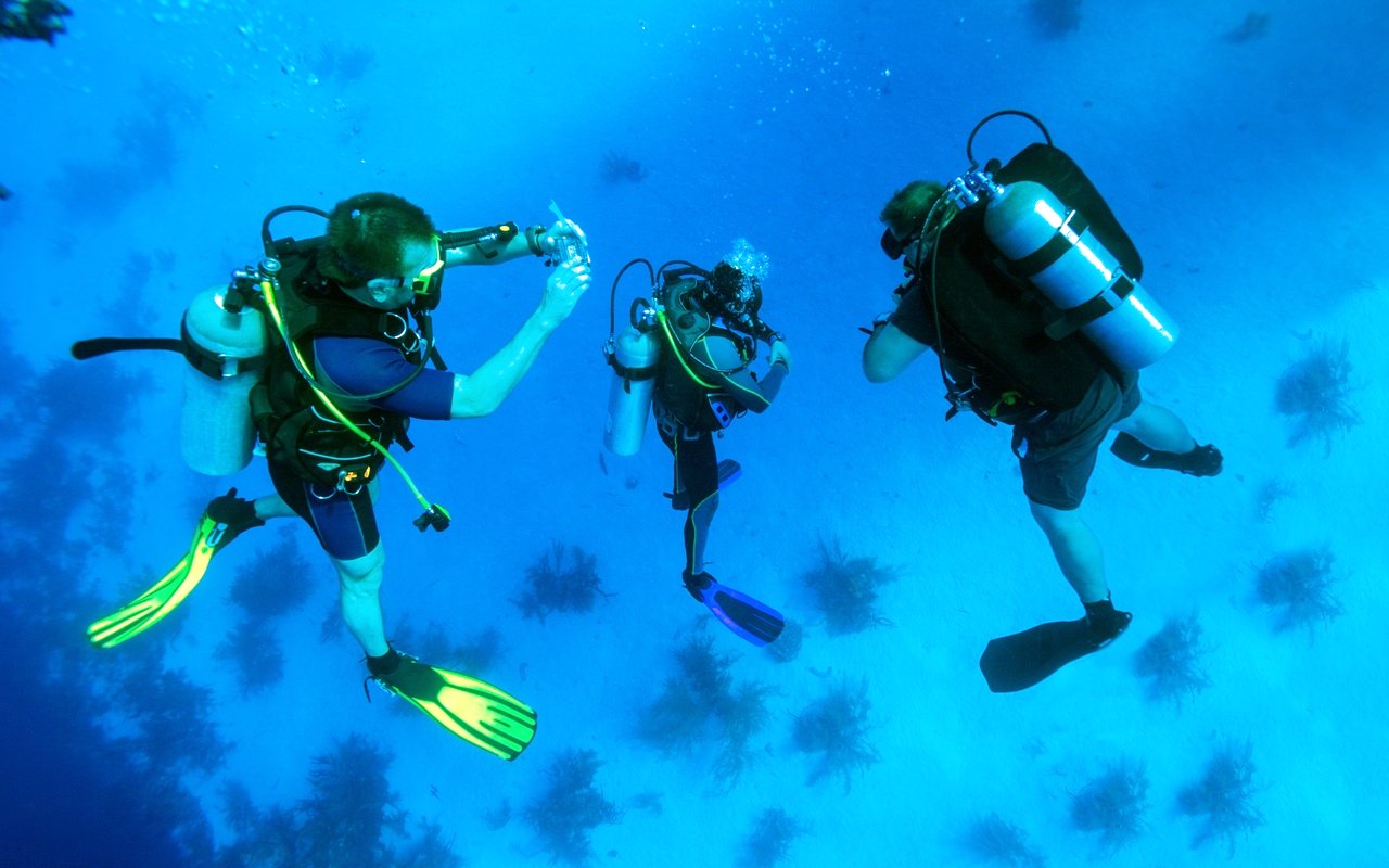 Scuba divers exploring coral reefs in the Red Sea, Hurghada.