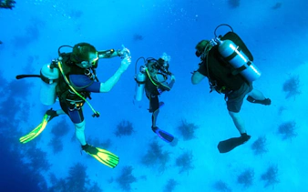 Scuba divers exploring coral reefs in the Red Sea, Hurghada.
