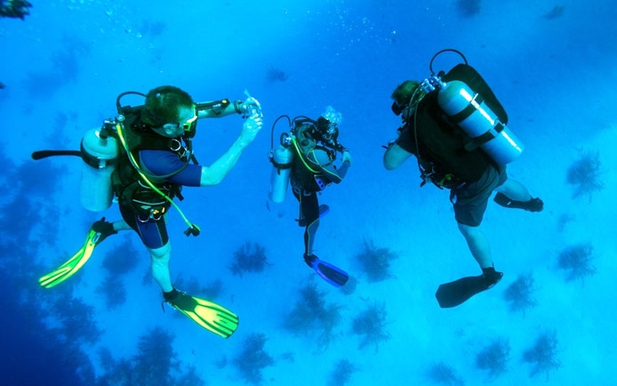Scuba divers exploring coral reefs in the Red Sea, Hurghada.
