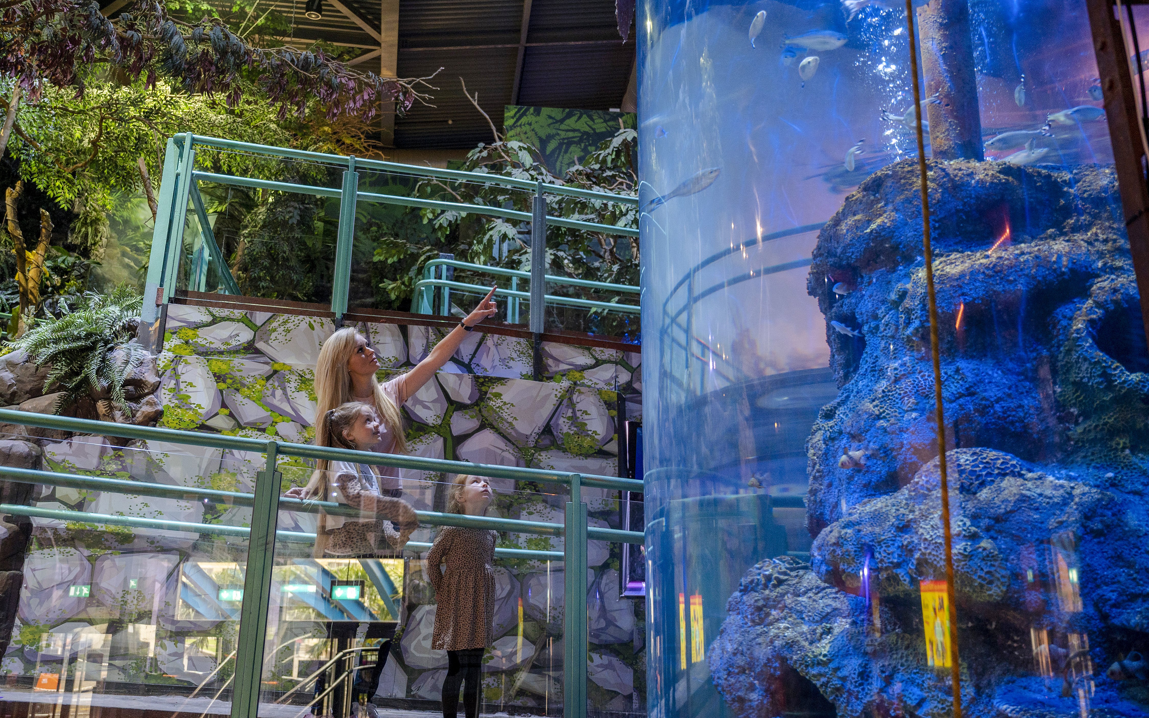 Guests observing fish in a large aquarium at SEA LIFE Birmingham.