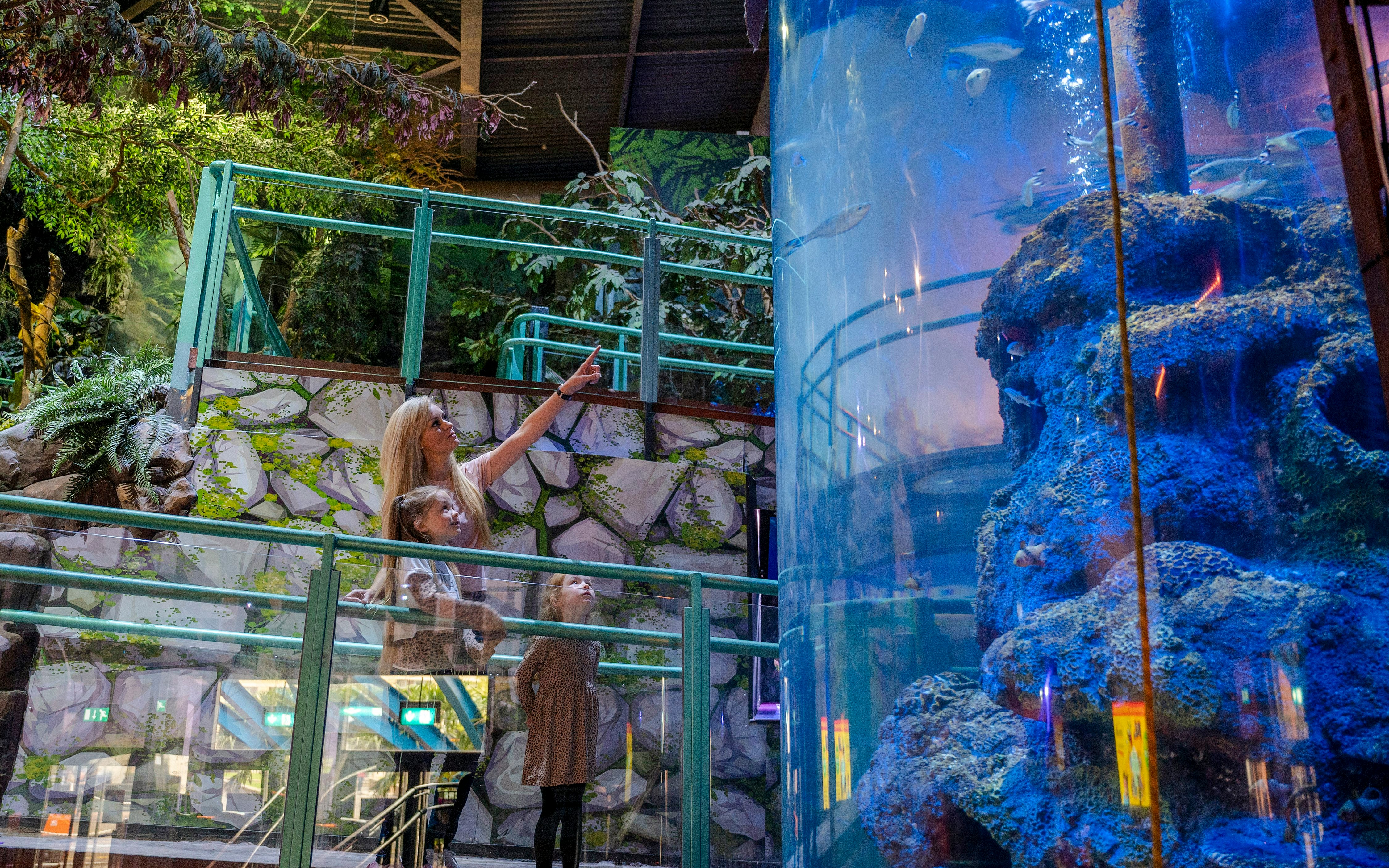 Guests observing fish in a large aquarium at SEA LIFE Birmingham.