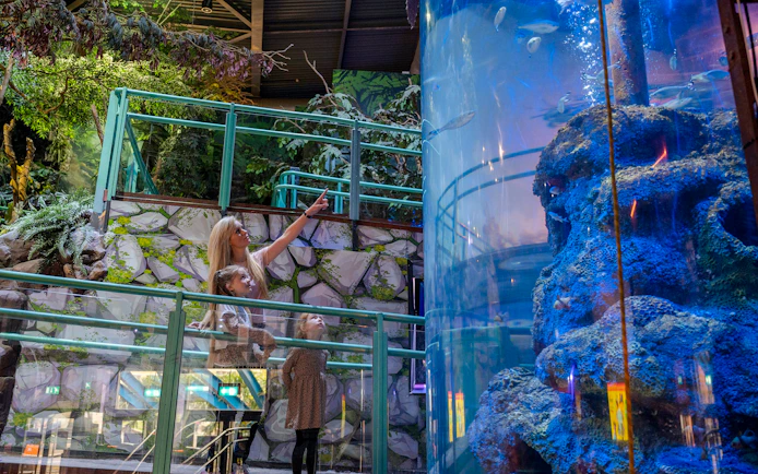 Guests observing fish in a large aquarium at SEA LIFE Birmingham.