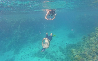 Two people snorkeling above a coral reef in clear blue water.