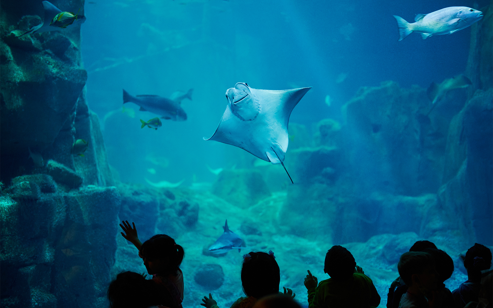 Istanbul Aquarium tickets