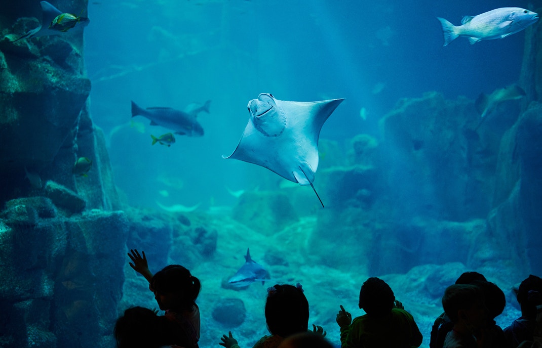 Istanbul Aquarium tickets