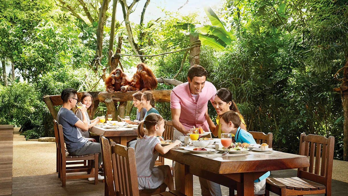 Singapore Zoo Breakfast with the Orangutans