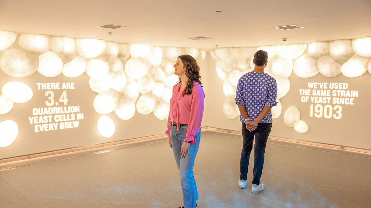 Guests viewing yeast cell exhibit at Guinness Storehouse.