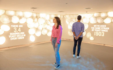 Guests viewing yeast cell exhibit at Guinness Storehouse.