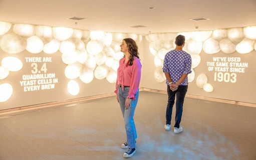 Guests viewing yeast cell exhibit at Guinness Storehouse.