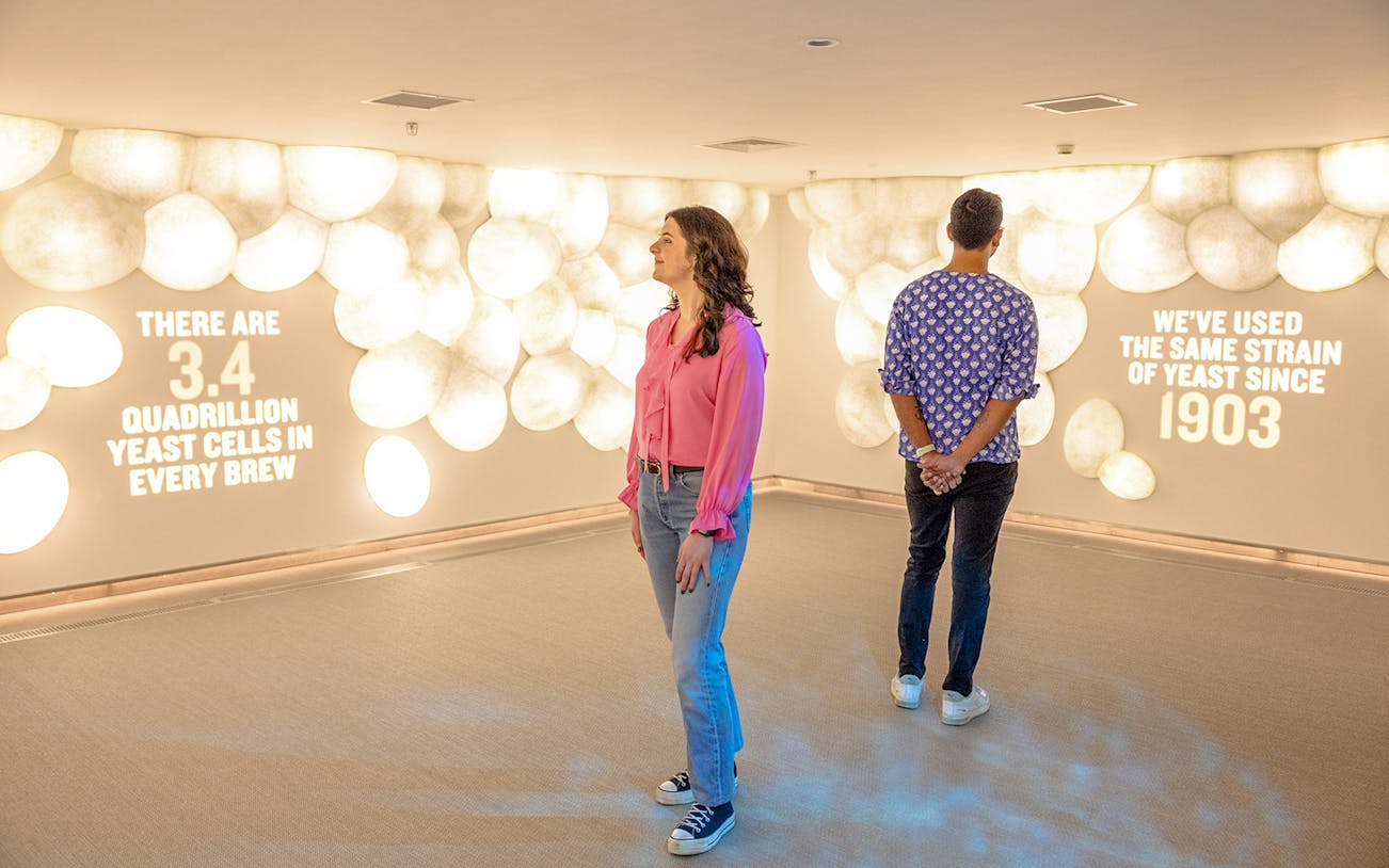 Guests viewing yeast cell exhibit at Guinness Storehouse.