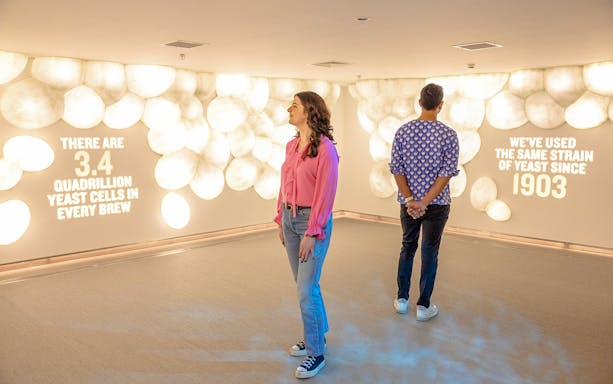 Guests viewing yeast cell exhibit at Guinness Storehouse.
