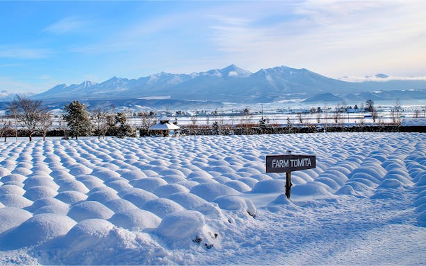 Snow-covered fields at Farm Tomita with distant mountains in Furano, Hokkaido, Japan.