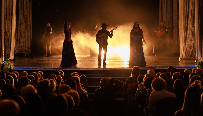 Palacio del Flamenco, the Flamenco Palace