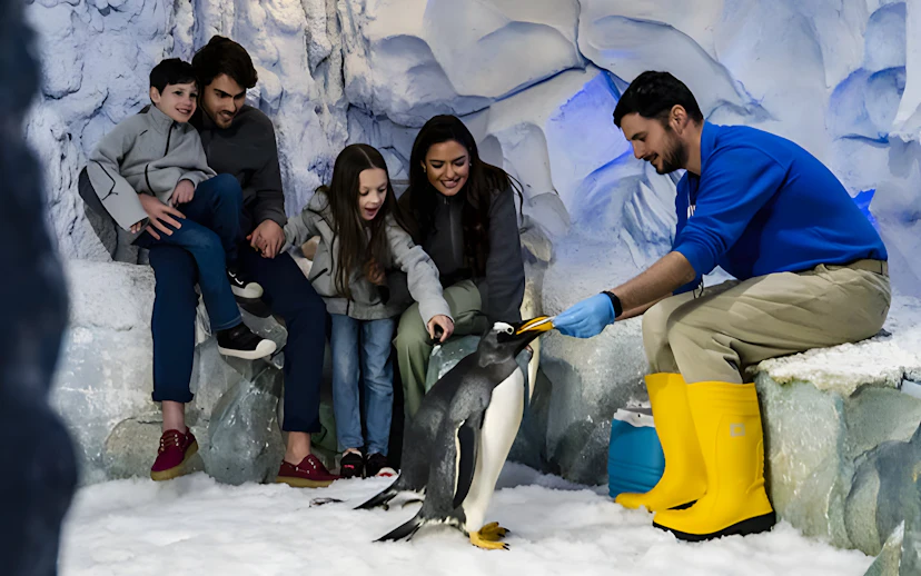 Family interacting with a penguin during a guided encounter at Selwo Marina.
