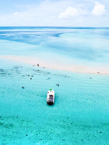 rose island : excursion d'une demi-journée pour nager avec les cochons (adaptée aux excursions à terre)-8