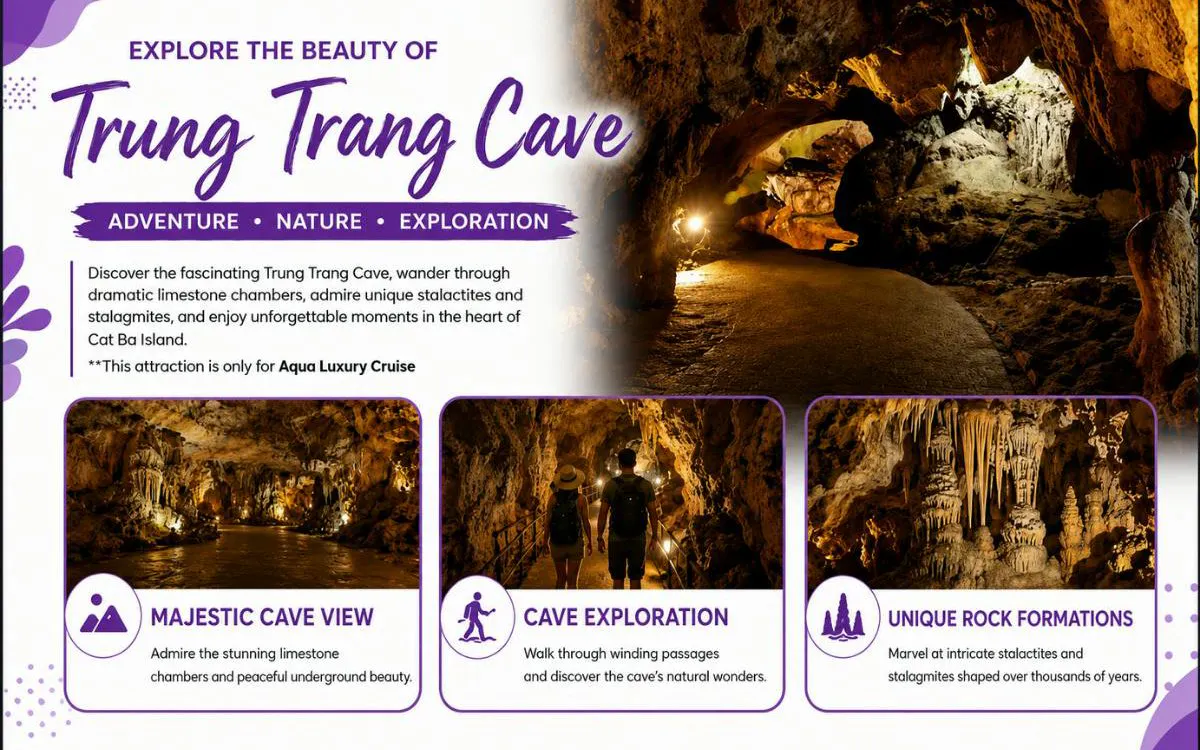 Trung Trang Cave exploration with limestone chambers and stalactites on Ha Long & Lan Ha Bay luxury cruise.