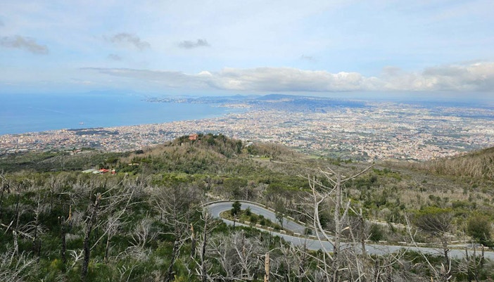 vesuvius forest area