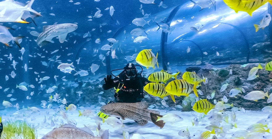 National Aquarium Abu Dhabi