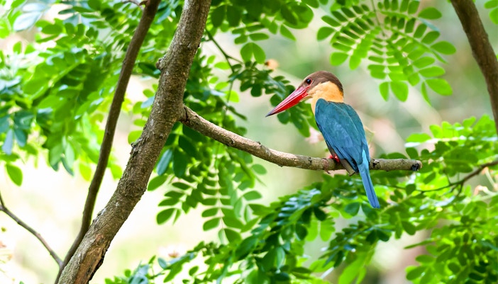 Payah Indah Discovery Wetlands