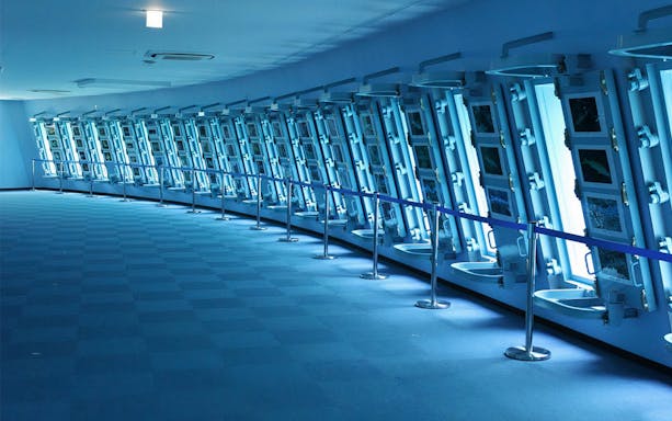Underwater viewing windows at Okinawa Miyakojima Undersea Park.