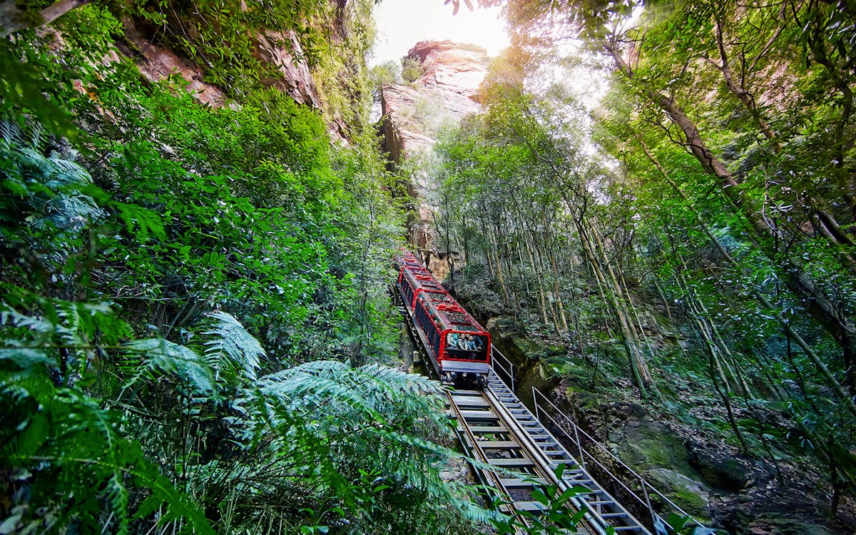 all-inclusive small-group blue mountains tour with scenic world, lunch, wildlife park & river cruise-4 all-inclusive small-group blue mountains tour with scenic world, lunch, wildlife park & river cruise-4