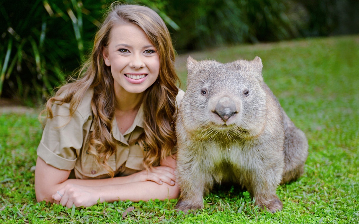 Irwin family member holding a wombat at Australia Zoo.