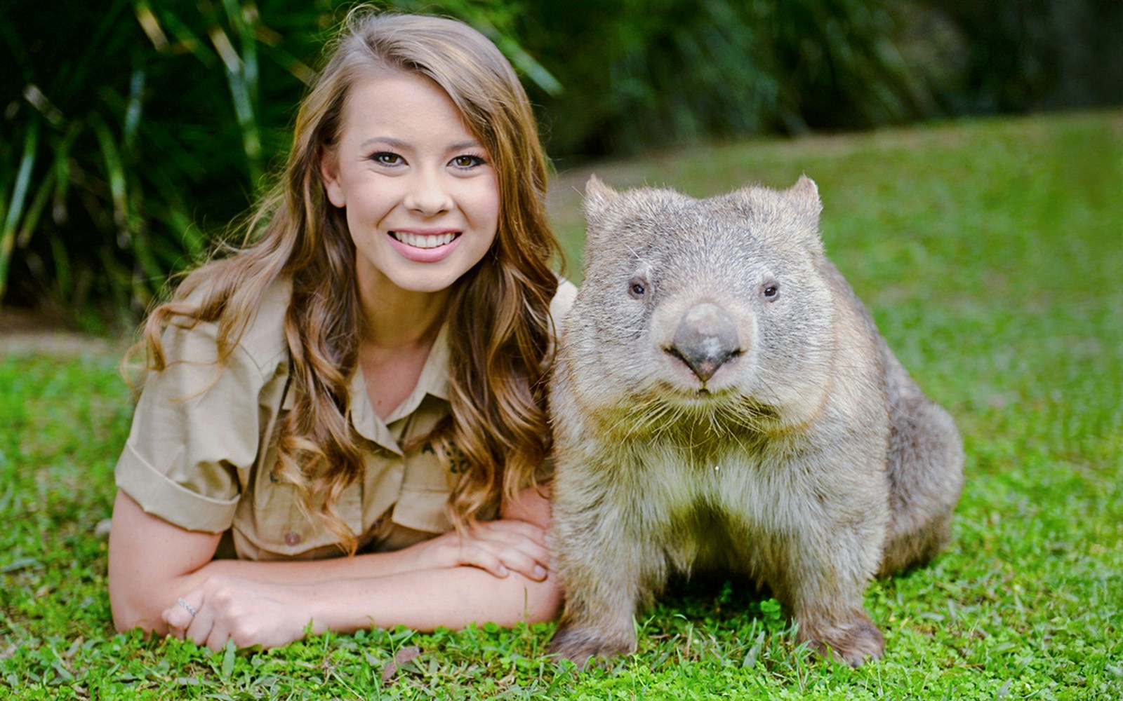 Naughty Wombat Encounter