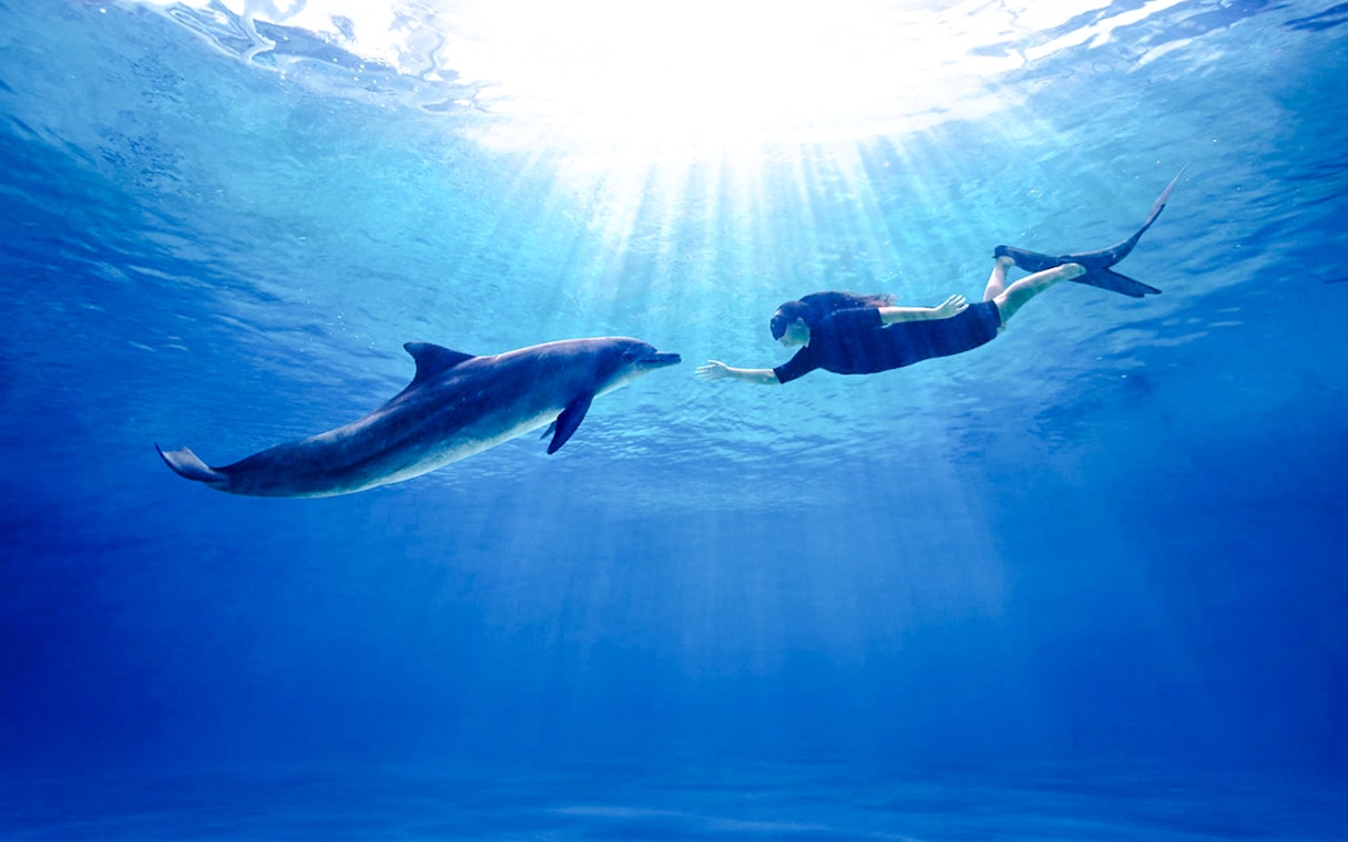 Swimming with dolphin at Singapore Oceanarium.