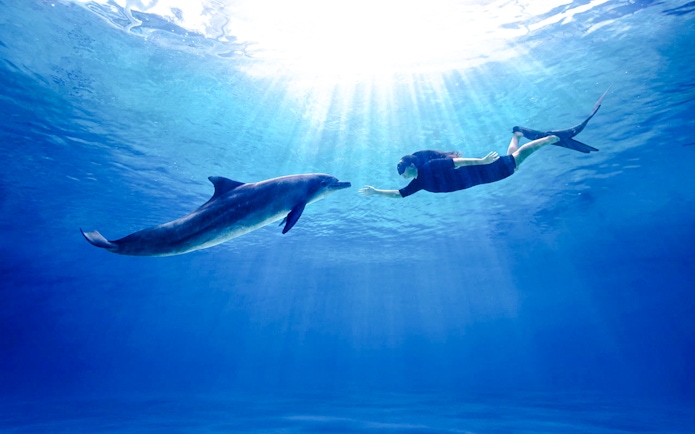 Swimming with dolphin at Singapore Oceanarium.