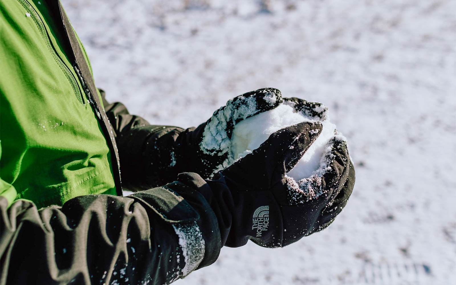 Science Centre Singapore Timings