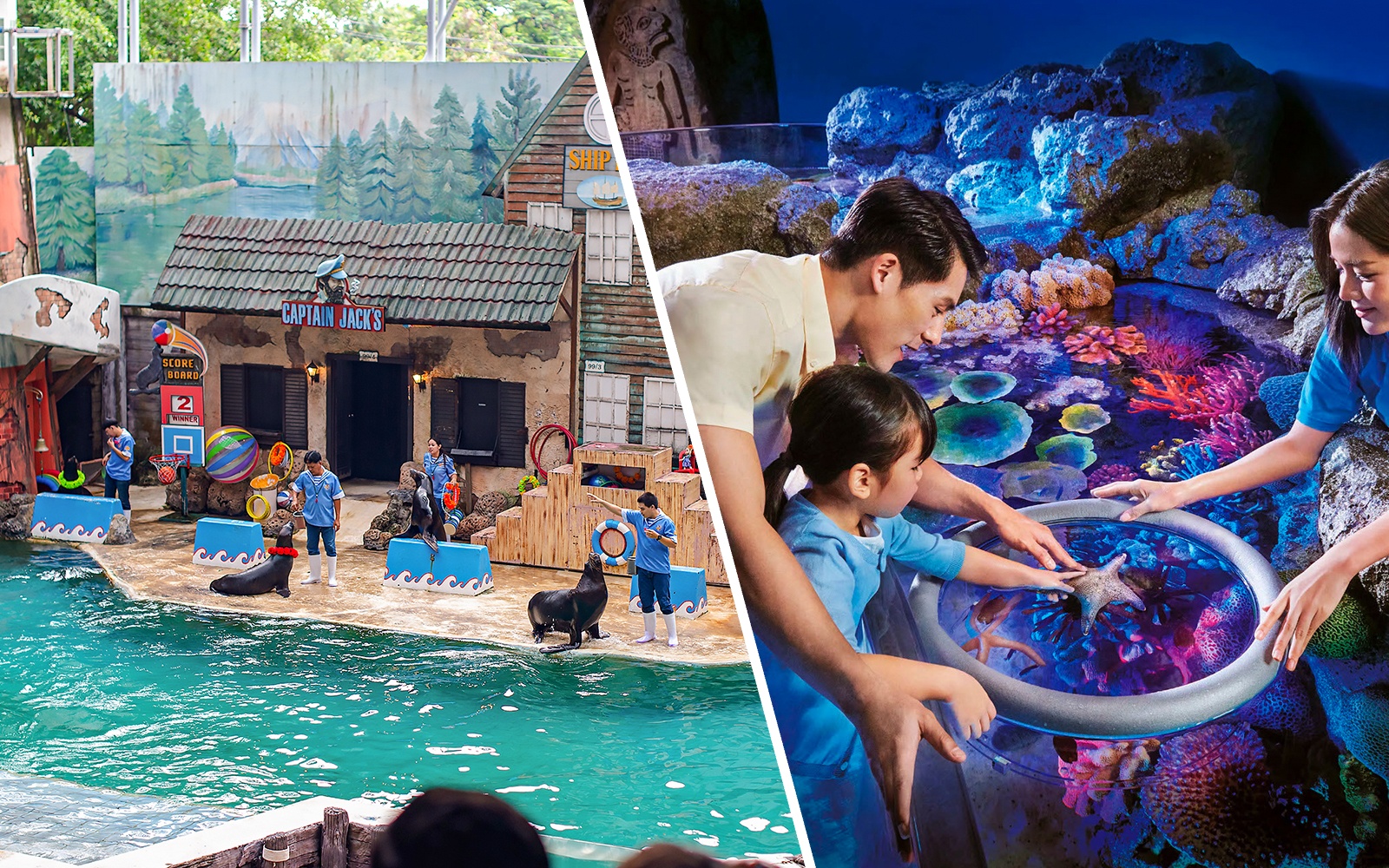 Seals performing tricks with trainers at Marine Park's themed show area.