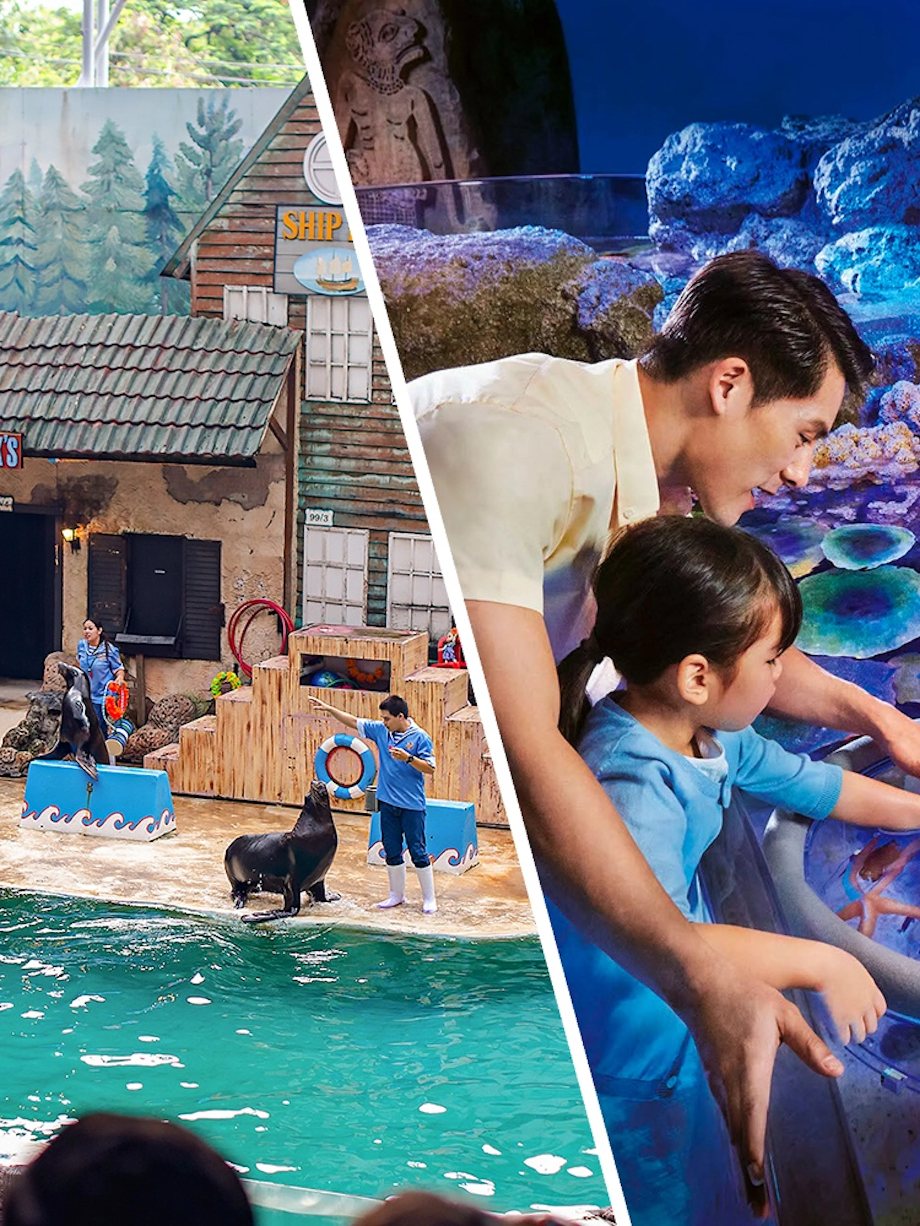 Seals performing tricks with trainers at Marine Park's themed show area.
