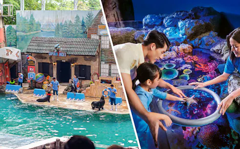 Seals performing tricks with trainers at Marine Park's themed show area.