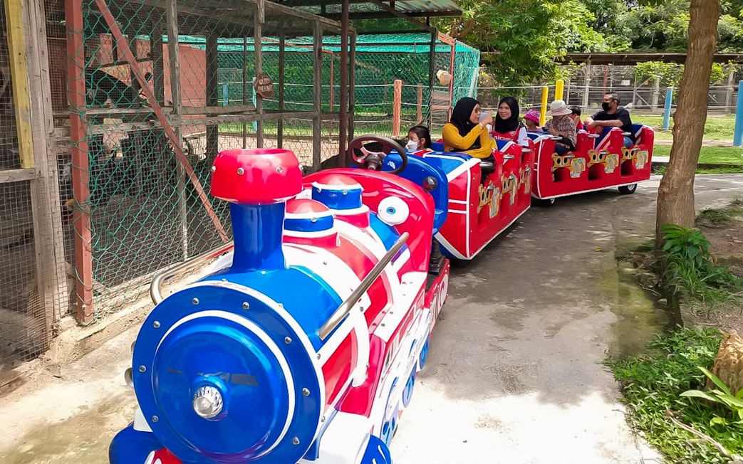 Mini train ride at PD Ostrich Show Farm with visitors enjoying the tour.