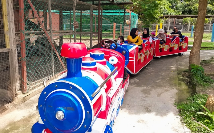 Mini train ride at PD Ostrich Show Farm with visitors enjoying the tour.