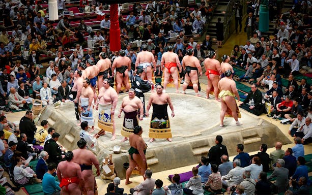 Sumo wrestlers in a Tokyo arena during a tournament, surrounded by an audience.