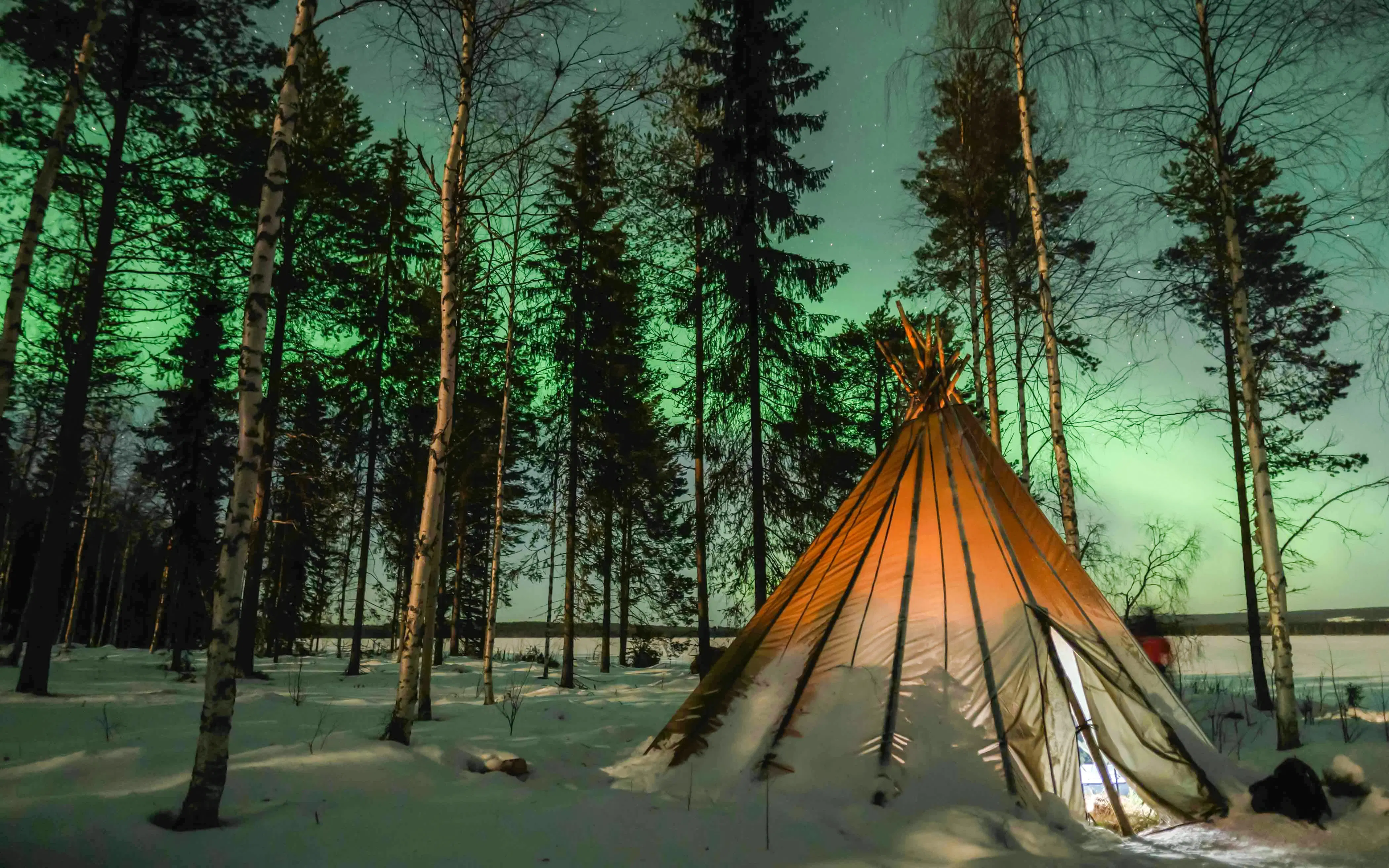 Northern Lights Small-Group Guided Tour with Professional Photography Image 9