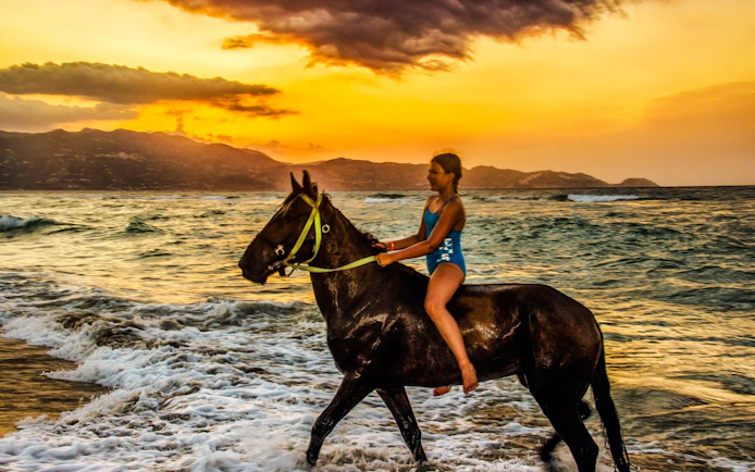 Side Beach and Forest Horseback Riding with Hotel Transfers