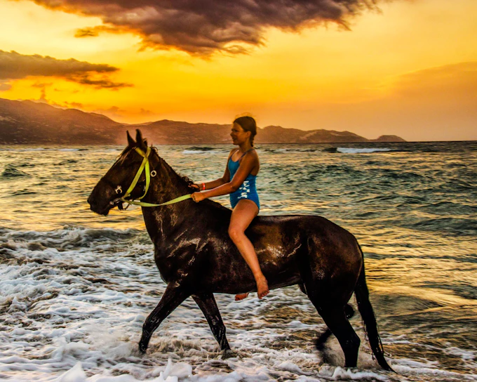 Side Beach and Forest Horseback Riding with Hotel Transfers