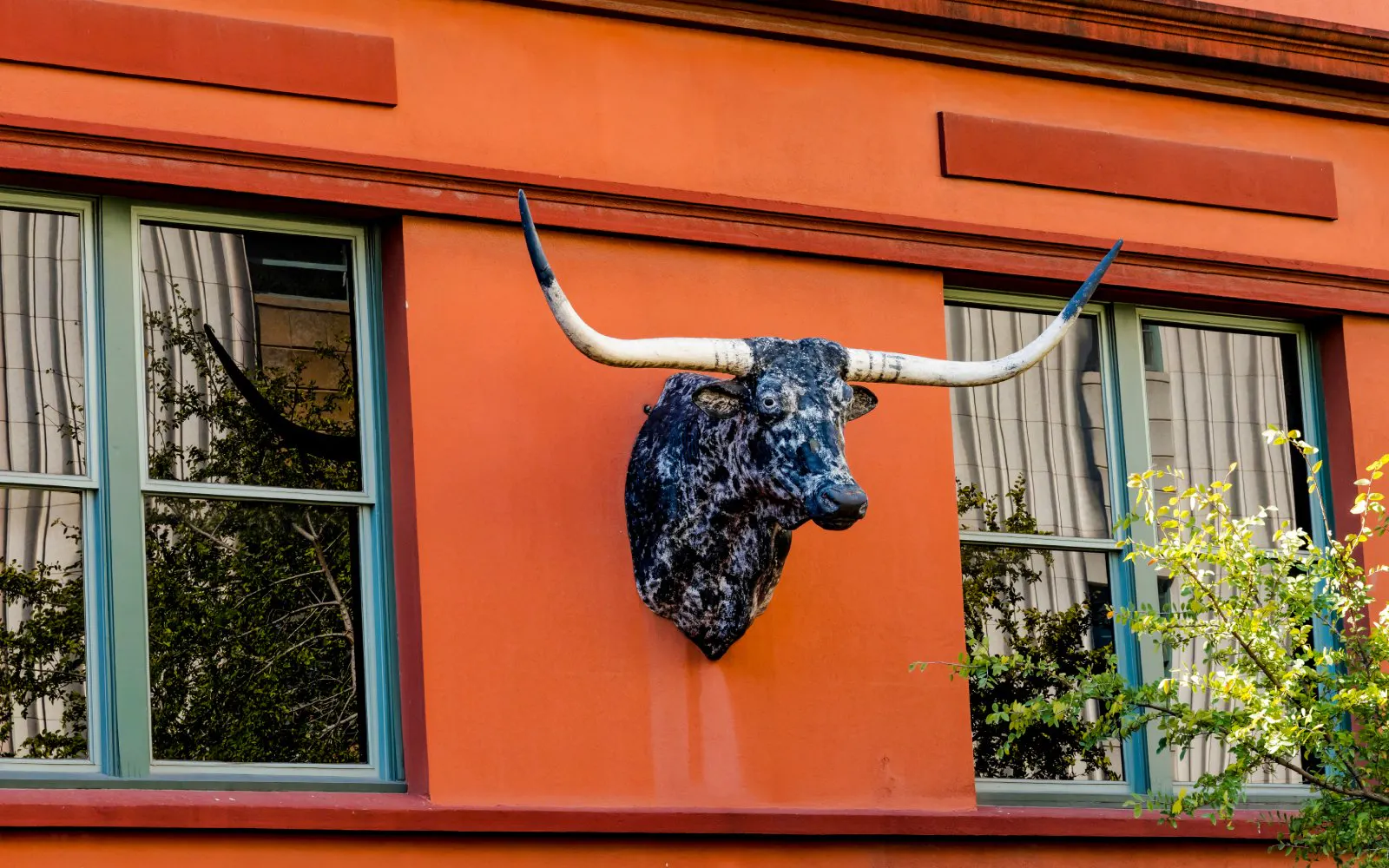 Buckhorn Saloon & Museum, Texas Ranger Museum en E. Houston Street