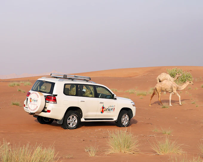Abu Dhabi Sunrise Desert Safari with 4x4 Dune Bashing & Sandboarding